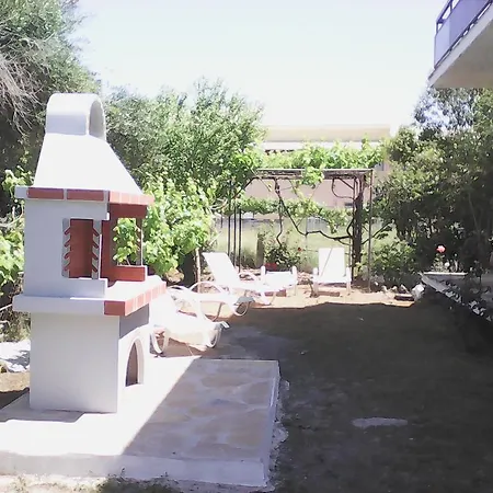 Alex * روذا