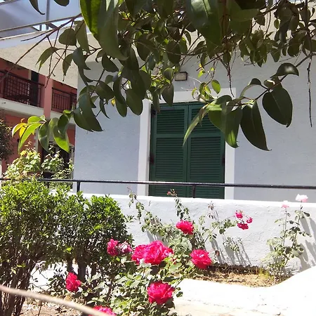 Alex * Roda (Corfu)